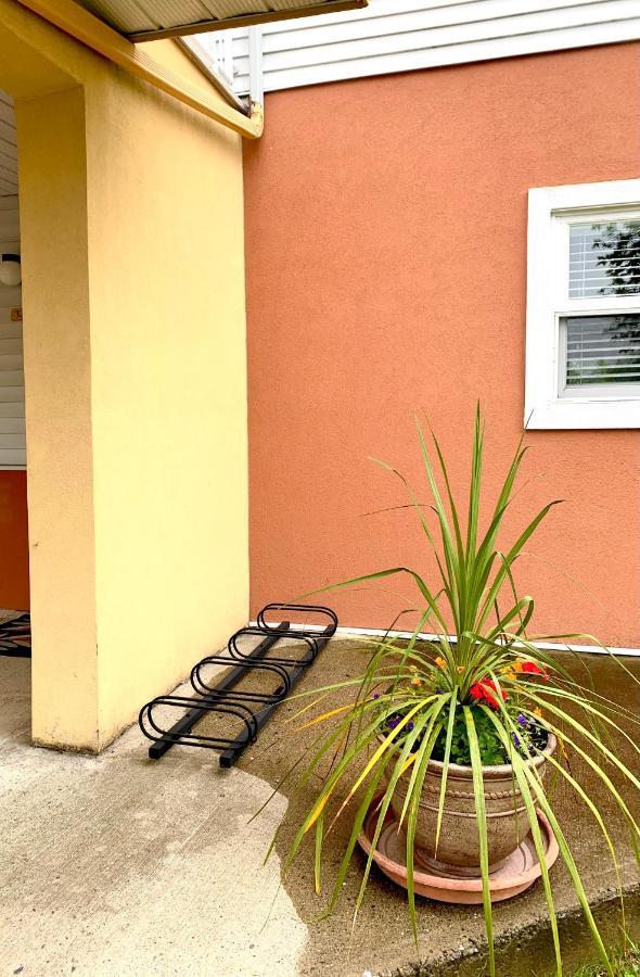 Le Pareo De Magog-Mont Orford Appartement Buitenkant foto